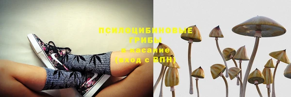 прущая мука Арсеньев