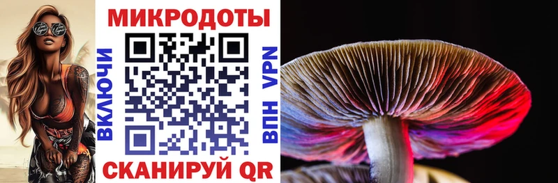Галлюциногенные грибы MAGIC MUSHROOMS  KRAKEN ссылка  Алатырь 