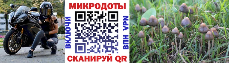 Галлюциногенные грибы Magic Shrooms Алатырь